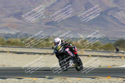 media/Jan-13-2024-SoCal Trackdays (Sat) [[9c032fe5aa]]/Turn 14 (10am)/